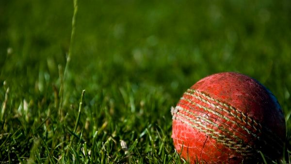 Cricket